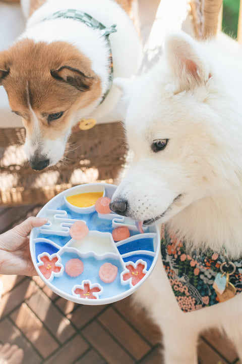 Wild n Fresh Treats - Yama Grub Mat - Mist