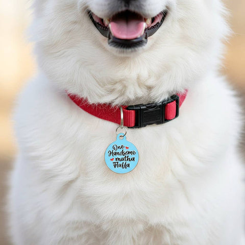 Bad Tags - Enamel Dog ID Tag with Personalized QR Code - Mama's Boy
