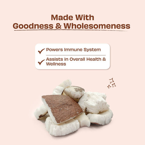 Pawfect Pet Foods Pvt Ltd - USA - Pawfect Nature's Munch Freeze-Dried Coconut Treats for Dogs | Vegan Treat | Immunity Booster | 100% Natural | Grain & Gluten Free | Low Calorie Training Treats (50g/1.76oz)