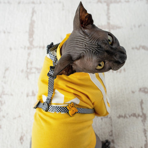 Jiby Dog Crew - Do Not Pet Jiby Dog Charm