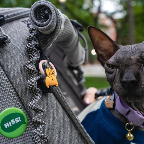 Jiby Dog Crew - Do Not Pet Jiby Dog Charm