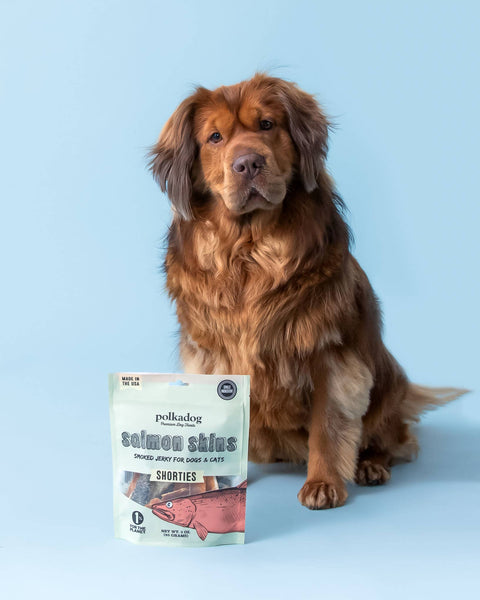 Polkadog - Salmon Skins Smoked Jerky - 3oz - Dog & Cat Treats
