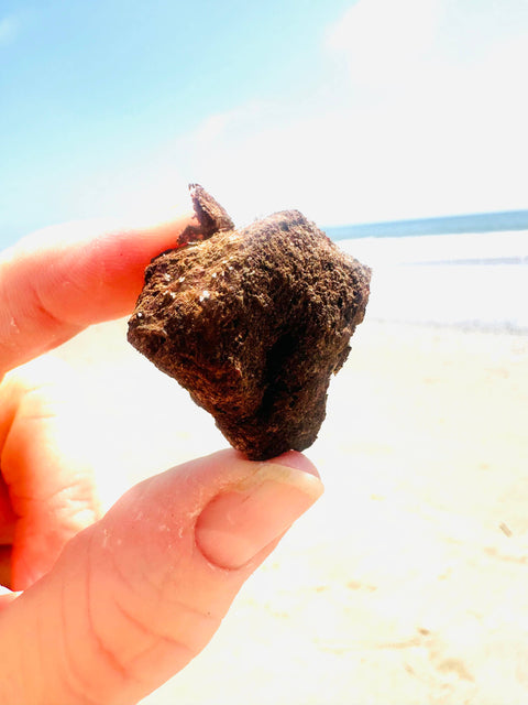 Fur Monster Goodies LLC - Organs and Shrooms: Freeze-Dried 100% Grass Fed Bison Spleen