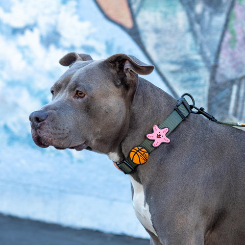 Jiby Dog Crew - Do Not Pet Jiby Dog Charm