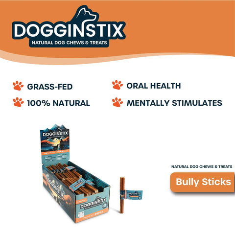 Dogginstix - 6" Jumbo Bully Sticks