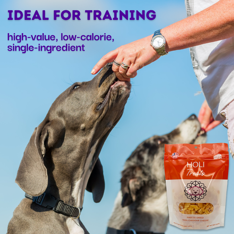 HOLI - HOLI Cheddar Cheese Freeze-Dried Dog Treats