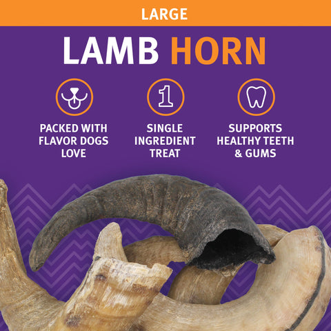 Icelandic+ - Icelandic+ Large Lamb Horn Dog Treat 12-Ct Display Box