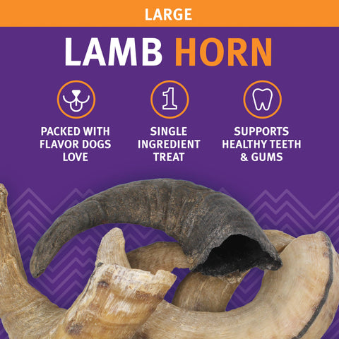 Medium chew - Lamb Horn Dog Treat