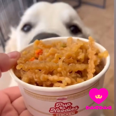 Owa Owa - Pup Noodles Chicken- VIRAL cup noodles for dogs & cats