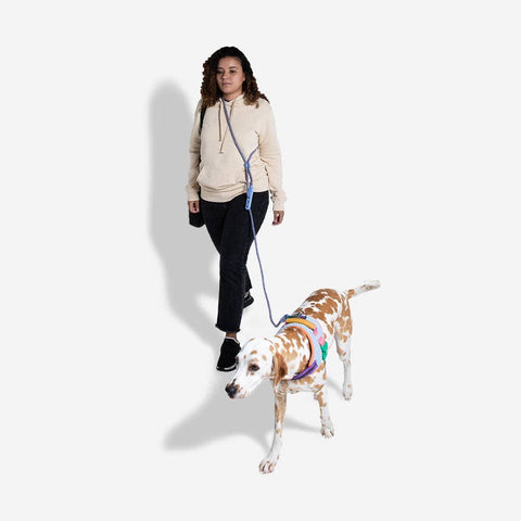 Zee.Dog - Andromeda | Hands-Free Leash
