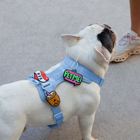 Jiby Dog Crew - Do Not Pet Jiby Dog Charm