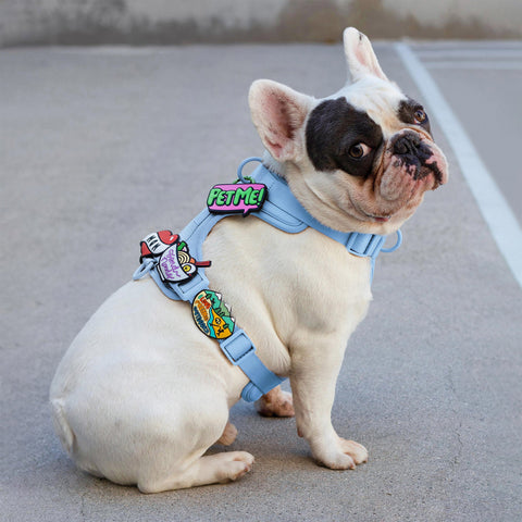 Jiby Dog Crew - Do Not Pet Jiby Dog Charm
