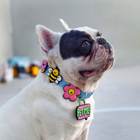 Jiby Dog Crew - Do Not Pet Jiby Dog Charm