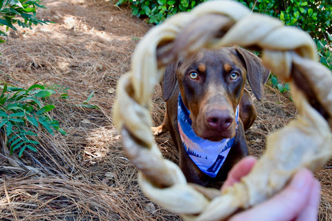 Dogginstix - Braided Sticks Lamb Collagen Ring