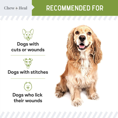 Chew + Heal - Liquid Bandage for Dogs, Pet First Aid Essential - 4 oz.