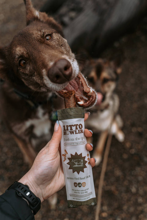 Litto Howler - Grass-Fed Beef Sticks