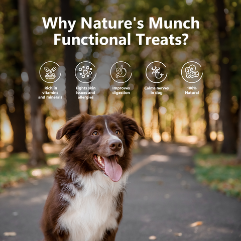 Pawfect Pet Foods Pvt Ltd - USA - Pawfect Nature's Munch Freeze-Dried cheese Functional Dog Treats for Health & Digestion | 100% Natural| High Protein, Low Fat| 8 Calories per Treat| Grain-Free| Healthy Training Treat (75g/2.65oz)