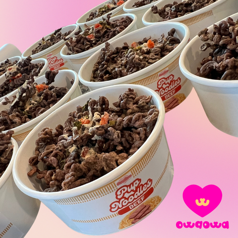 Owa Owa - Pup Noodles Beef- VIRAL cup noodles for dogs & cats