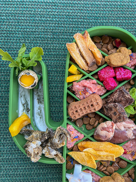 Lonestar Dog Treats - Saguaro Slow Feeder