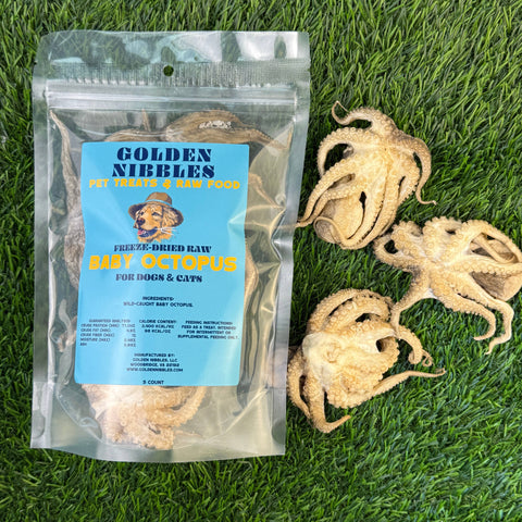 Golden Nibbles - Baby Octopus - Bag of 5 - Freeze Dried Treats for Dogs & Cat