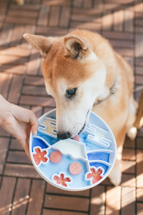 Wild n Fresh Treats - Yama Grub Mat - Mist