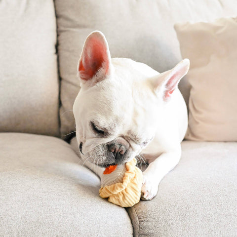 Lambwolf Collective - DIM SUM POP // Enrichment dog toy