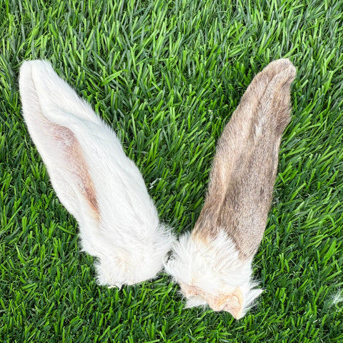 Golden Nibbles - Rabbit Ear - Freeze-Dried Treat/Chew for Dogs & Cats