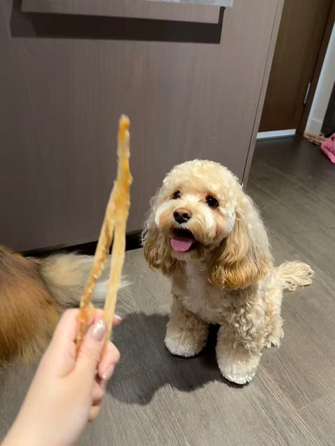 BARK'N BIG Turkey Tendons
