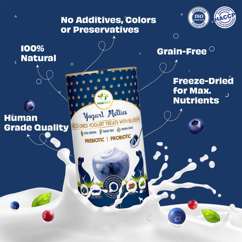 Pawfect Pet Foods Pvt Ltd - USA - Pawfect Yogurt Melties Pre and Probiotic Dog Treats with Blueberry, Cranberry, Blue Spirulina, Mint | Healthy Gut | Low Calories | Grain & Gluten Free | Reward or Training Treats (38g/1.34oz)