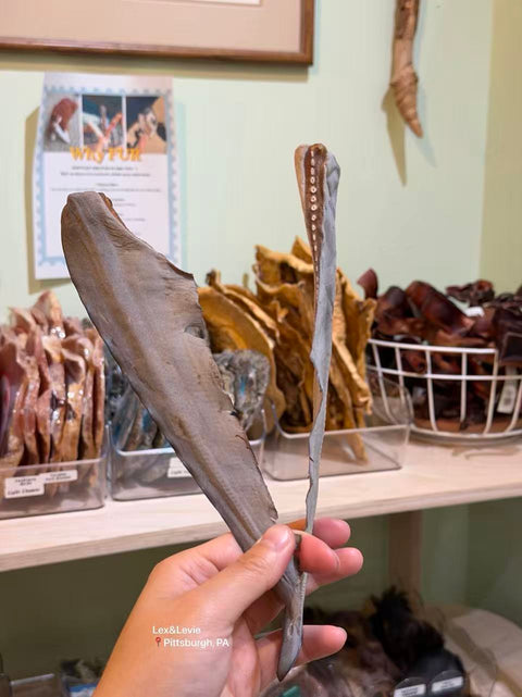 Medium Chew - Shark Tail