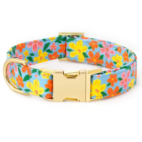 The Foggy Dog - Dog Collar
