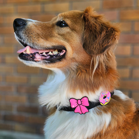 Jiby Dog Crew - Do Not Pet Jiby Dog Charm