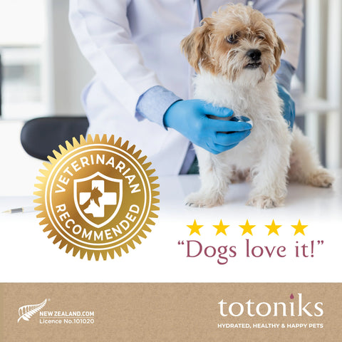 Totoniks Fussy Eater & Hydration Starter Pack – for big dogs over 33lb (15kg)