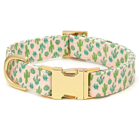 The Foggy Dog - Dog Collar