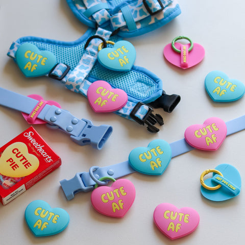 Jiby Dog Crew - Do Not Pet Jiby Dog Charm
