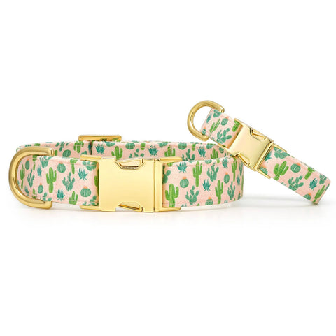 The Foggy Dog - Dog Collar