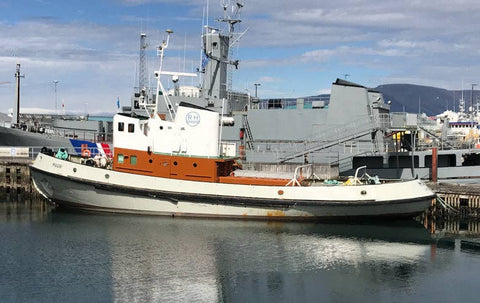 Icelandic+ - Cod & Lobster Combo Bites Fish Dog Treats: Default Title