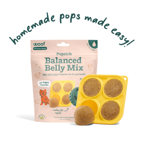 Woof Pupsicle Mix
