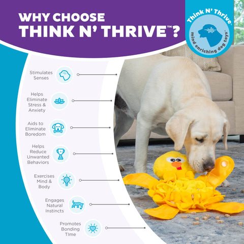 Pet Palette Distribution - Nina Ottosson Snuffle Palz Chicken Interactive Plush Dog Toy