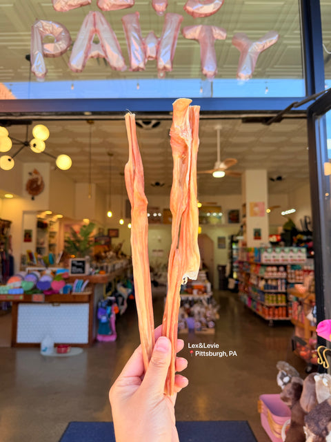 Medium chew - Beef Flexor Tendon 6-9”