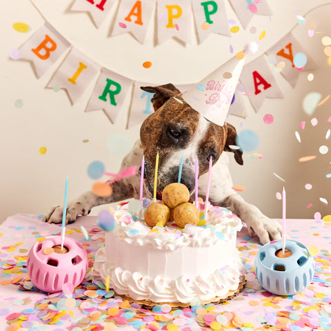 Woof Pupsicle Pops