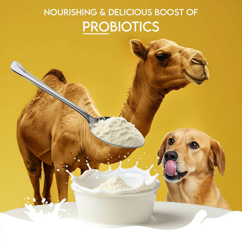 Pawfect Pet Foods Pvt Ltd - USA - Pawfect Nature's Sip 100% Natural Camel Milk Powder for Dogs & Puppies| Easily Digestible| Source of Vitamins, Minerals, Probiotics| Healthy Topper| Hydration Support | Milk Replacer for Dogs