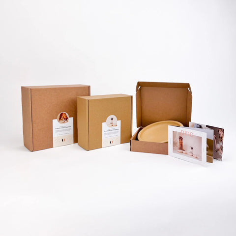 PINO - Whisker Friendly Bowls - 2024 Collection