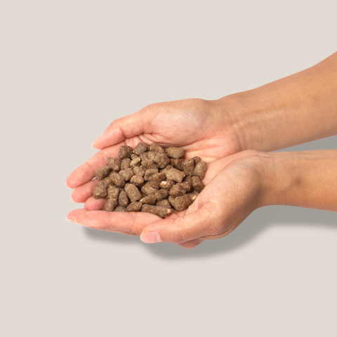 Little Hunter - Raw Rabbit Recipe