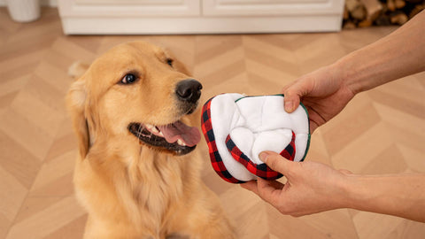 Tall Tails - Tall Tails Plaid Ball Plush Puzzle Dog Toy