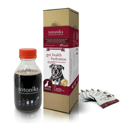 Totoniks Gut Health & Hydration Starter Pack – for big dogs over 33lb (15kg)