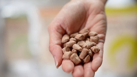 Little Hunter - Raw Chicken Recipe