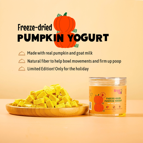Arya Sit! - Freeze-Dried Pumpkin Yogurt