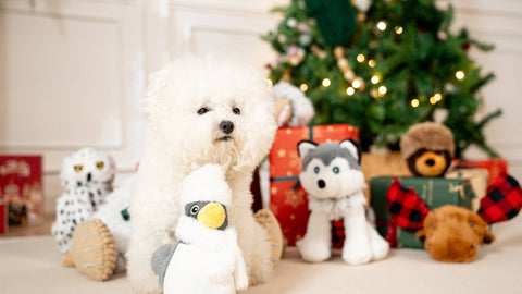 Tall Tails - Tall Tails Snow Bird 2-in-1 Fetch Ball Dog Toy