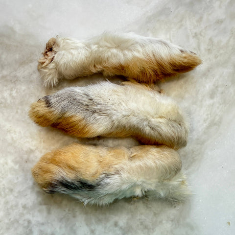 Golden Nibbles - Rabbit Back Feet - Freeze-Dried Treat/Chew for Dogs & Cats